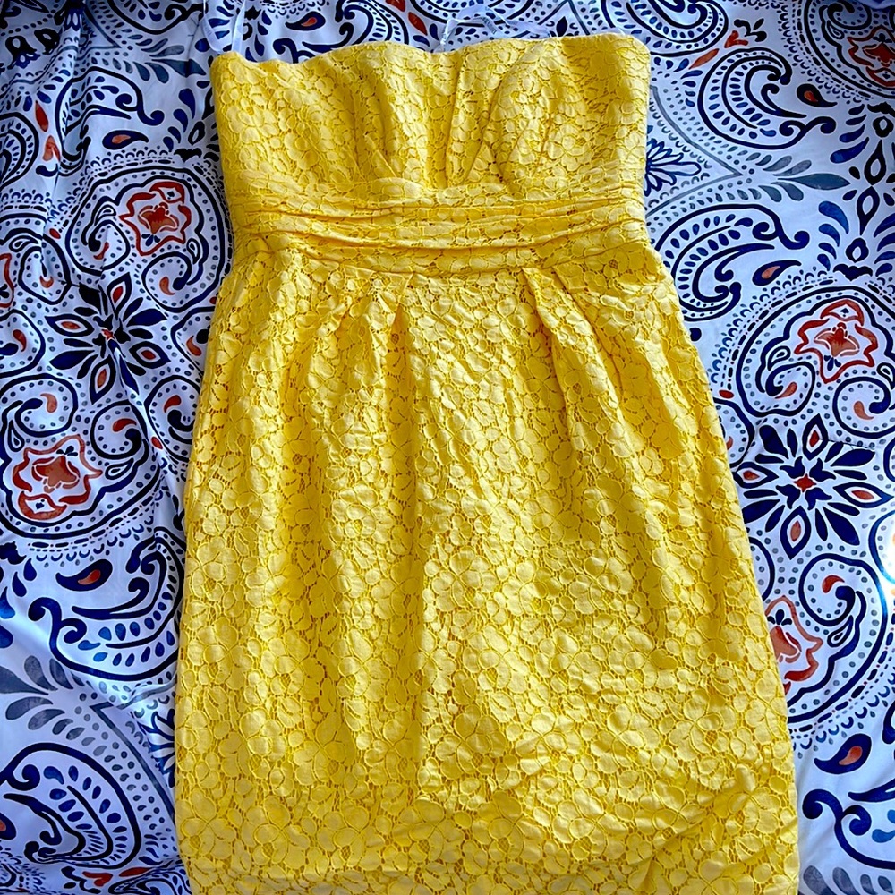 NWT Canary Lace Cocktail Dress